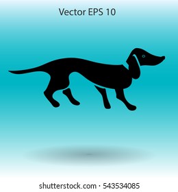 long dachshund vector illustration