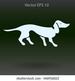 long dachshund vector illustration