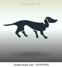 long dachshund vector illustration