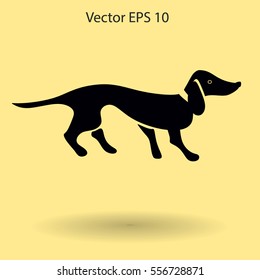 long dachshund vector illustration