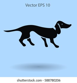 long dachshund vector illustration