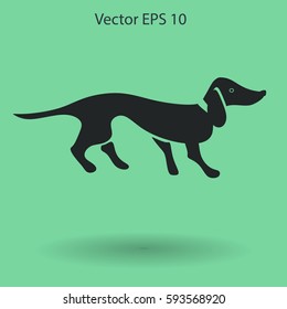 long dachshund vector illustration