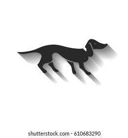 long dachshund vector illustration