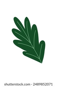A long dark green leaf