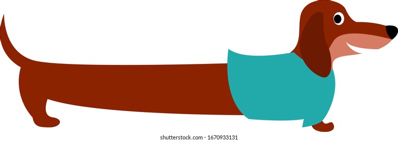 Perro largo, ilustración, vector sobre fondo blanco.