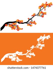 long elegant maple tree branch with lush autumn foliage - fall season natural decor vector design set