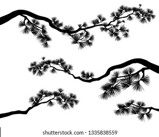 long elegant pine tree branches - black and white conifer tree vector silhouette set