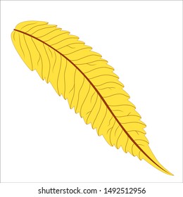 Long fall yellow leaves.Vector illustration
