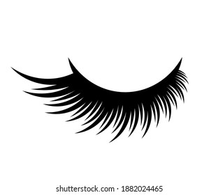 Brows Lashes Vector Illustration Beautiful Eyelashes Stock Vector ...