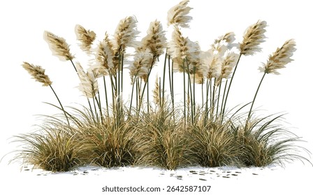 Long feather flora elements grass fields vector cut out transparent background file, nature design, plant decoration, eco friendly, fresh spring look, wild flora, foliage art