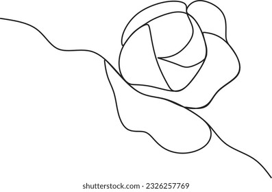 flor larga dibujada con una línea