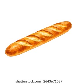 Long French baguette bread on white background, perfect for bakery menus, food packaging, and bread-themed illustration