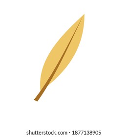 Long golden feather icon vector image