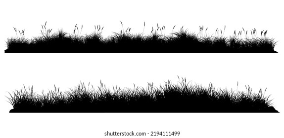 Long Grass Isolated. Grassland Vector