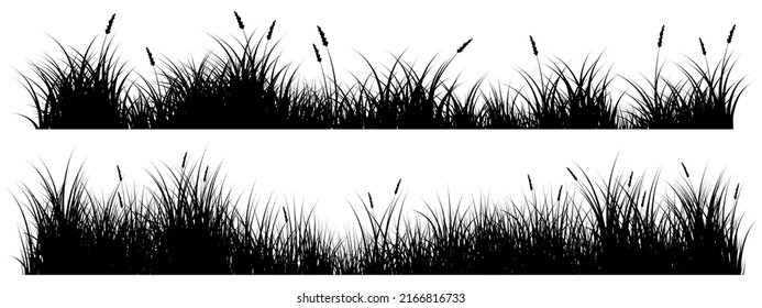 long grass, reeds grass silhouette