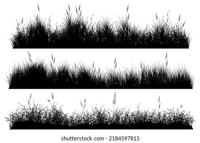 long grass silhouette. grass ground with reeds