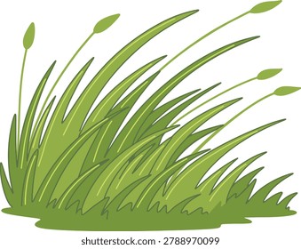Long Grass Wind Flow Illustration