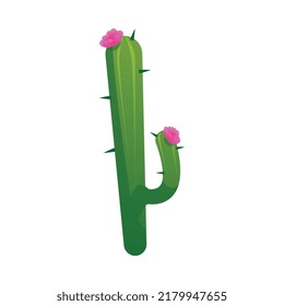 Long green cactus with spikes and pink flowers flat style, vector illustration isolated on white background. Natural desert blooming plant, spines, decorative element