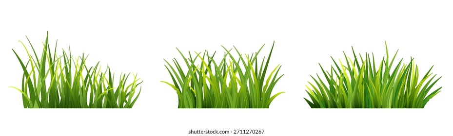 Grama verde longa isolada. Vegetação de prado de primavera para projeto de paisagem, decoração de jardim, conceito ecológico e ilustrações ao ar livre
