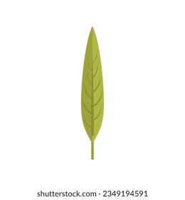 Vector plano de icono de hoja verde largo. Caer follaje. Árbol de hojas aislado