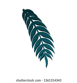 
Long green leaf on white isolated background. Vector illustration.