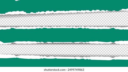 Long green torn ripped paper transparent background