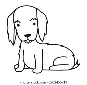 Long haired Dachshund dog