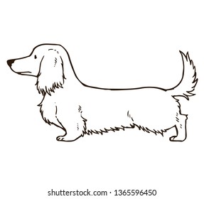 Long haired dachshund outlines