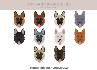 Long haired german shepherd dog  in different coat colors clipart. Vector illustration