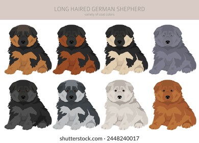 Long haired german shepherd puppy dog  in different coat colors clipart. Vector illustration