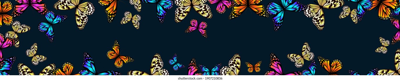 A long horizontal frame with butterflies. site header. Vector illustration