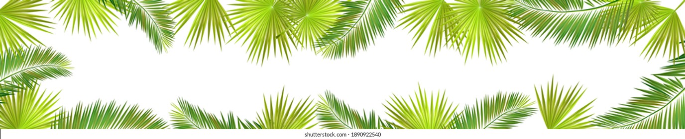 A Long horizontal frame of palm leaves. Hello summer. Vector illustration