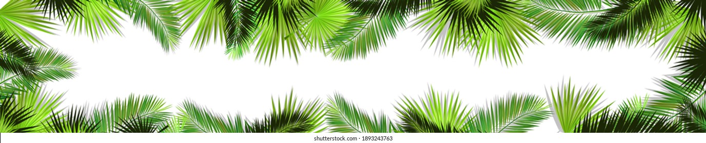 A Long horizontal frame of palm leaves. Hello summer. Vector illustration