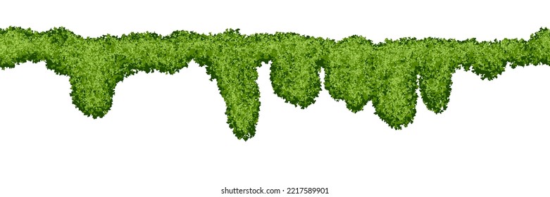 Long horizontal seamless swamp moss pattern on white background. Top of fence or wall with climbing plants. Bush line. Forest lichen. Vector illustration