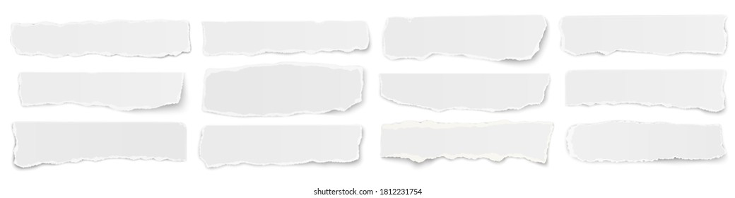 A long horizontal set of torn long vector pieces of paper isolated on a white background.