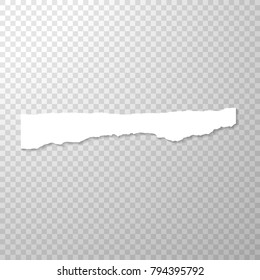 Long Horizontal Torned Off Piece of Paper. Empty Isolated Edge on Transparent Background. White Banner. Template for Advertising. Vector Illustration