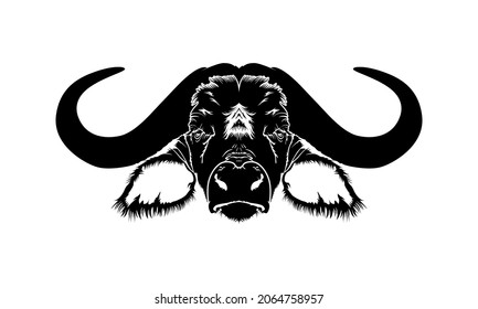 Long horn buffalo head vector, Buffalo head Logo Design Inspirasi