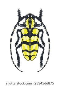 Long Horned Beetle detailed vector with black and yellow mosaic body armour