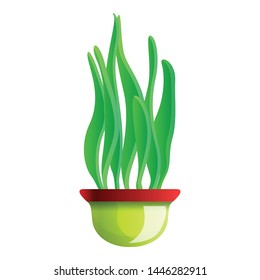 Long leaf plant pot icon. Cartoon of long leaf plant pot vector icon for web design isolated on white background