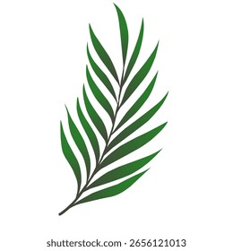 Vector de hoja larga con estética TME color