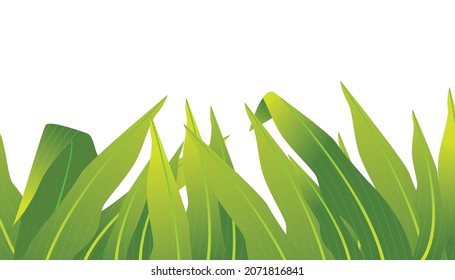 Long leaf vector with green style