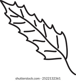 long leaf with veins and sharp edges, hand drawn with black brush, white background, easy to edit, cartoon