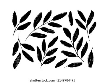 Long leaves and branches vector collection. Monochrome botanical design elements with dry brush stroke effect. Hand drawn plant elements painted with a brush isolated on white background. 