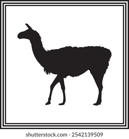 A long llama standing silhouette