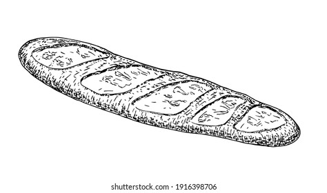 Long Loaf Bread vector sketch Illustration. French Baguette Vector illustration of French baguettes isolated on a white background. Bakery products  isolated on white, bakery and cafe theme for logo