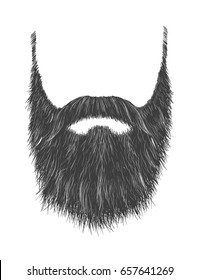 Long man beard with no face. Hand drawn vector fashionable hipster beard with mustache.