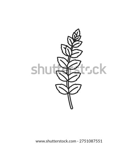 Long Mint Sprig with Alternating Leaves Herbal Flat Botanical Vector Illustration