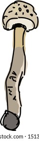 Long mushroom, illustration, vector on white background.