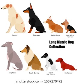 long muzzle dog sitting collection