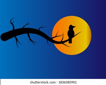Long night background with a bird